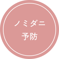 デンタルケア