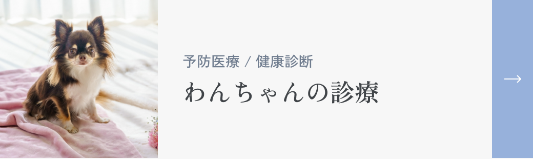 わんちゃんの診療