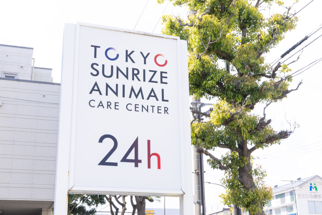 24時間