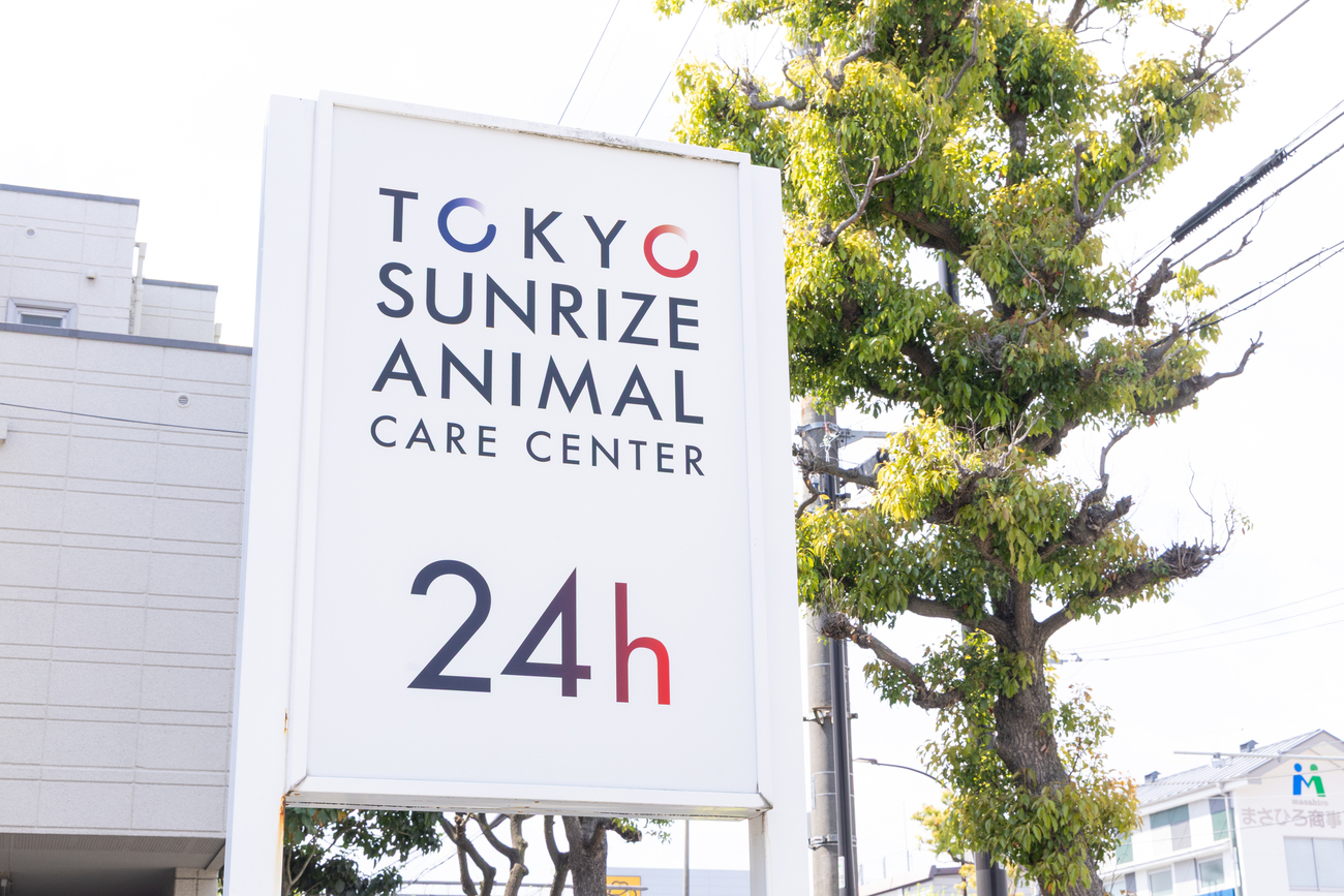 24時間