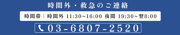 夜間診察(19:30〜翌8:00)は必ずお電話ください 03-6807-2520