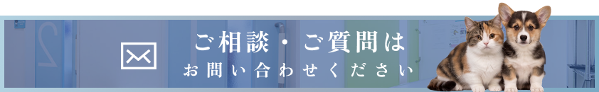 ご相談・ご質問はお問合せください