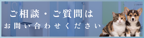 ご相談・ご質問はお問合せください