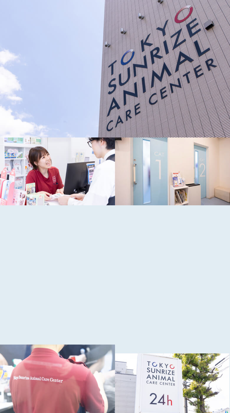 一緒に働きませんか？