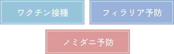 健康診断パック